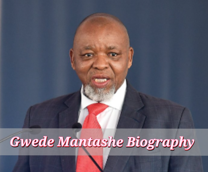 Gwede Mantashe Biography