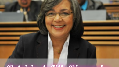 Patricia de Lille Biography